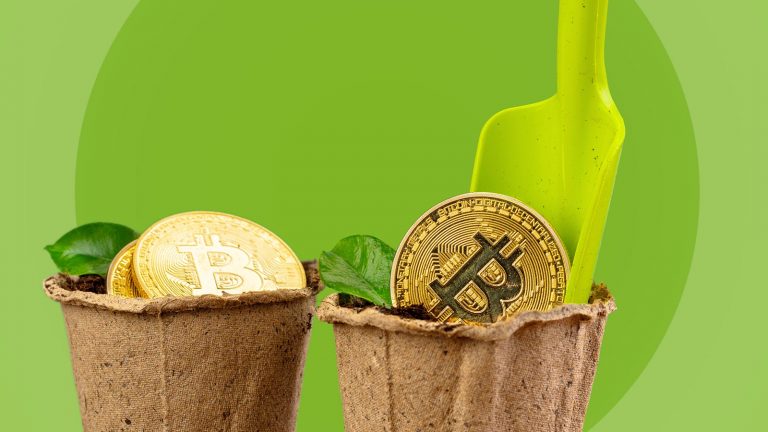 Yield Farming